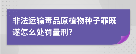 非法运输毒品原植物种子罪既遂怎么处罚量刑?
