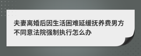 夫妻离婚后因生活困难延缓抚养费男方不同意法院强制执行怎么办