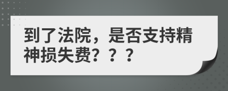 到了法院，是否支持精神损失费？？？