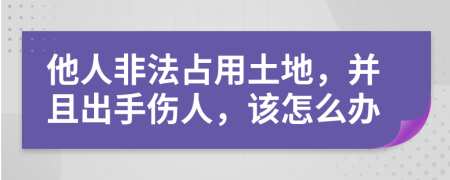 他人非法占用土地，并且出手伤人，该怎么办