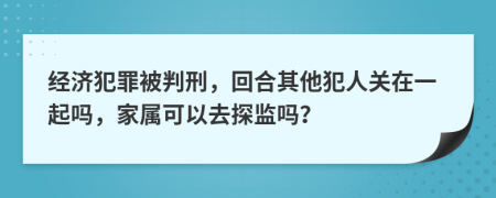 经济犯罪被判刑，回合其他犯人关在一起吗，家属可以去探监吗？