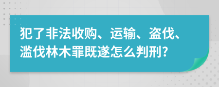 犯了非法收购、运输、盗伐、滥伐林木罪既遂怎么判刑?