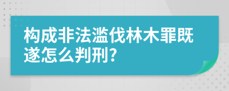 构成非法滥伐林木罪既遂怎么判刑?