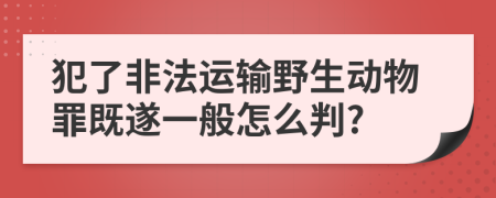 犯了非法运输野生动物罪既遂一般怎么判?