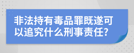 非法持有毒品罪既遂可以追究什么刑事责任?