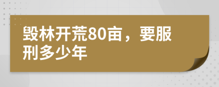 毁林开荒80亩，要服刑多少年
