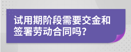 试用期阶段需要交金和签署劳动合同吗？