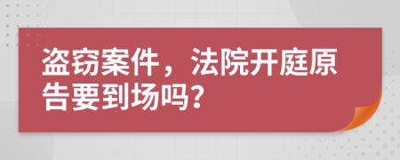 盗窃案件，法院开庭原告要到场吗？