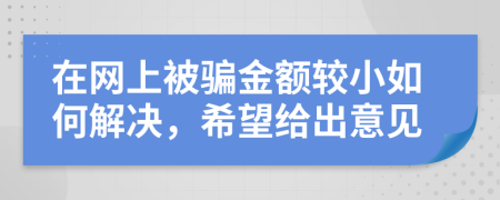 在网上被骗金额较小如何解决，希望给出意见