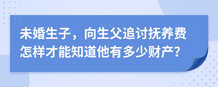 未婚生子，向生父追讨抚养费怎样才能知道他有多少财产？