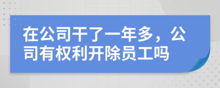 在公司干了一年多，公司有权利开除员工吗