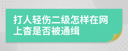 打人轻伤二级怎样在网上杳是否被通缉