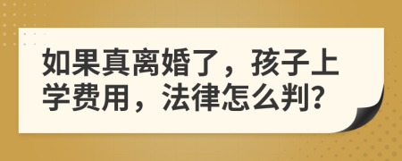 如果真离婚了，孩子上学费用，法律怎么判？