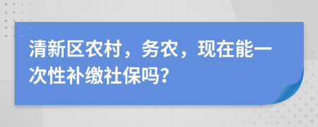 清新区农村，务农，现在能一次性补缴社保吗？