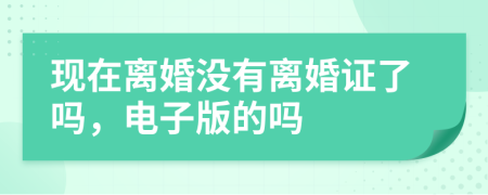 现在离婚没有离婚证了吗，电子版的吗