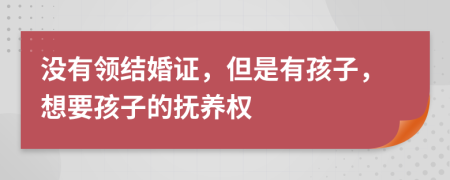 没有领结婚证，但是有孩子，想要孩子的抚养权