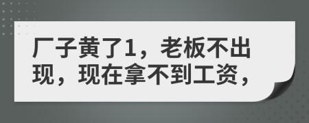 厂子黄了1，老板不出现，现在拿不到工资，