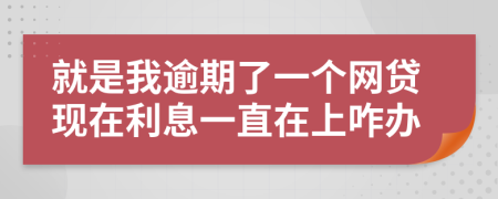 就是我逾期了一个网贷现在利息一直在上咋办