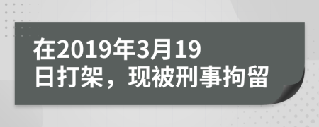 在2019年3月19日打架，现被刑事拘留