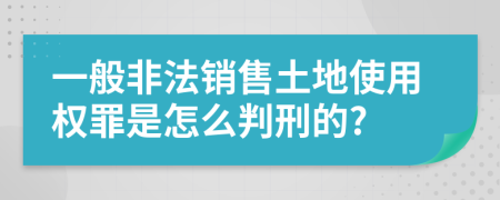 一般非法销售土地使用权罪是怎么判刑的?