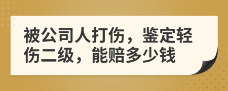 被公司人打伤，鉴定轻伤二级，能赔多少钱
