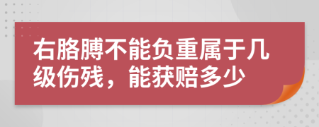 右胳膊不能负重属于几级伤残，能获赔多少