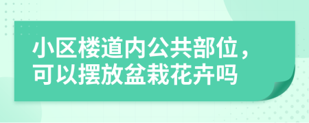 小区楼道内公共部位，可以摆放盆栽花卉吗