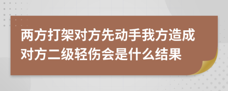 两方打架对方先动手我方造成对方二级轻伤会是什么结果