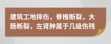 建筑工地摔伤，脊椎断裂，大肠断裂，左肾肿属于几级伤残