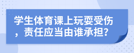 学生体育课上玩耍受伤，责任应当由谁承担？