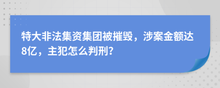 特大非法集资集团被摧毁，涉案金额达8亿，主犯怎么判刑？