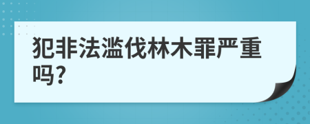 犯非法滥伐林木罪严重吗?