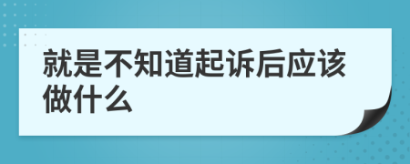 就是不知道起诉后应该做什么