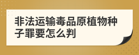 非法运输毒品原植物种子罪要怎么判