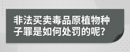 非法买卖毒品原植物种子罪是如何处罚的呢？