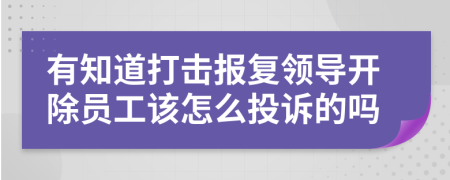 有知道打击报复领导开除员工该怎么投诉的吗