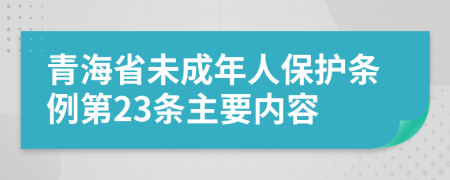 青海省未成年人保护条例第23条主要内容