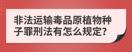 非法运输毒品原植物种子罪刑法有怎么规定？