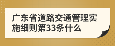 广东省道路交通管理实施细则第33条什么