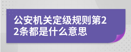 公安机关定级规则第22条都是什么意思