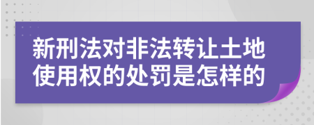 新刑法对非法转让土地使用权的处罚是怎样的