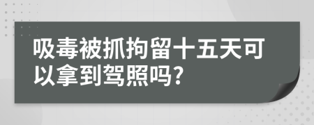 吸毒被抓拘留十五天可以拿到驾照吗?