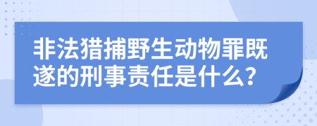 非法猎捕野生动物罪既遂的刑事责任是什么？