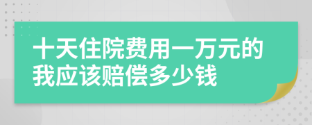 十天住院费用一万元的我应该赔偿多少钱