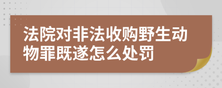 法院对非法收购野生动物罪既遂怎么处罚