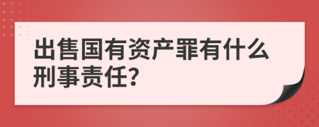 出售国有资产罪有什么刑事责任？