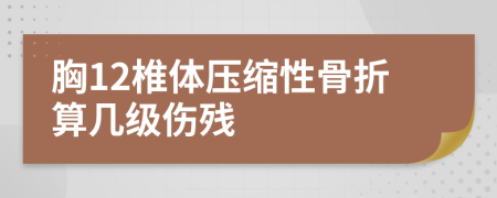 胸12椎体压缩性骨折算几级伤残