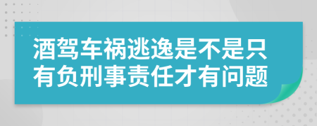 酒驾车祸逃逸是不是只有负刑事责任才有问题