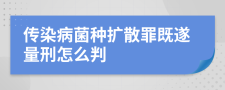 传染病菌种扩散罪既遂量刑怎么判