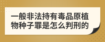 一般非法持有毒品原植物种子罪是怎么判刑的
